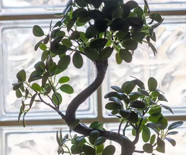 Loc Trotteur Le Safran F2 Grand Confort, Gare Sncf De Διαμέρισμα