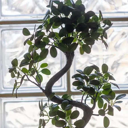 Loc Trotteur Le Safran F2 Grand Confort, Gare Sncf De Daire