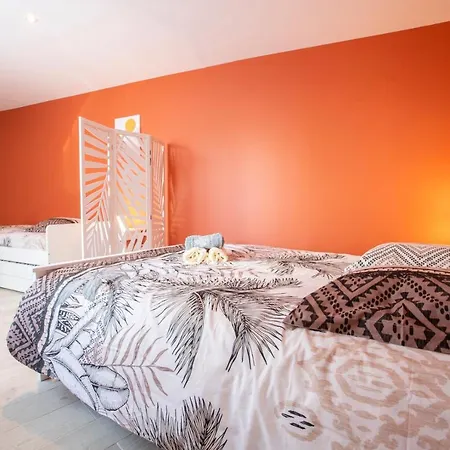 Loc Trotteur Le Safran F2 Grand Confort, Gare Sncf De Lourdes