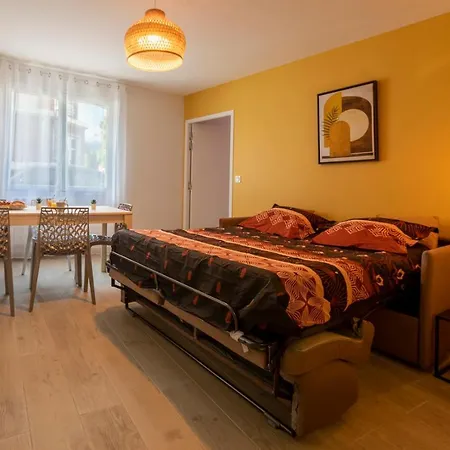 Apartment Loc Trotteur Le Safran F2 Grand Confort, Gare Sncf De Lourdes